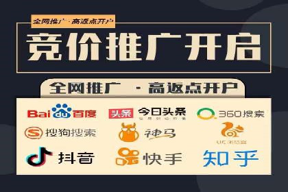 SEM优化技巧：实战案例深度剖析